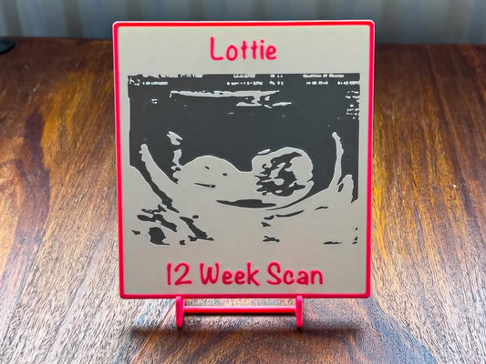3D Baby Scan Plaque | Pink / Blue